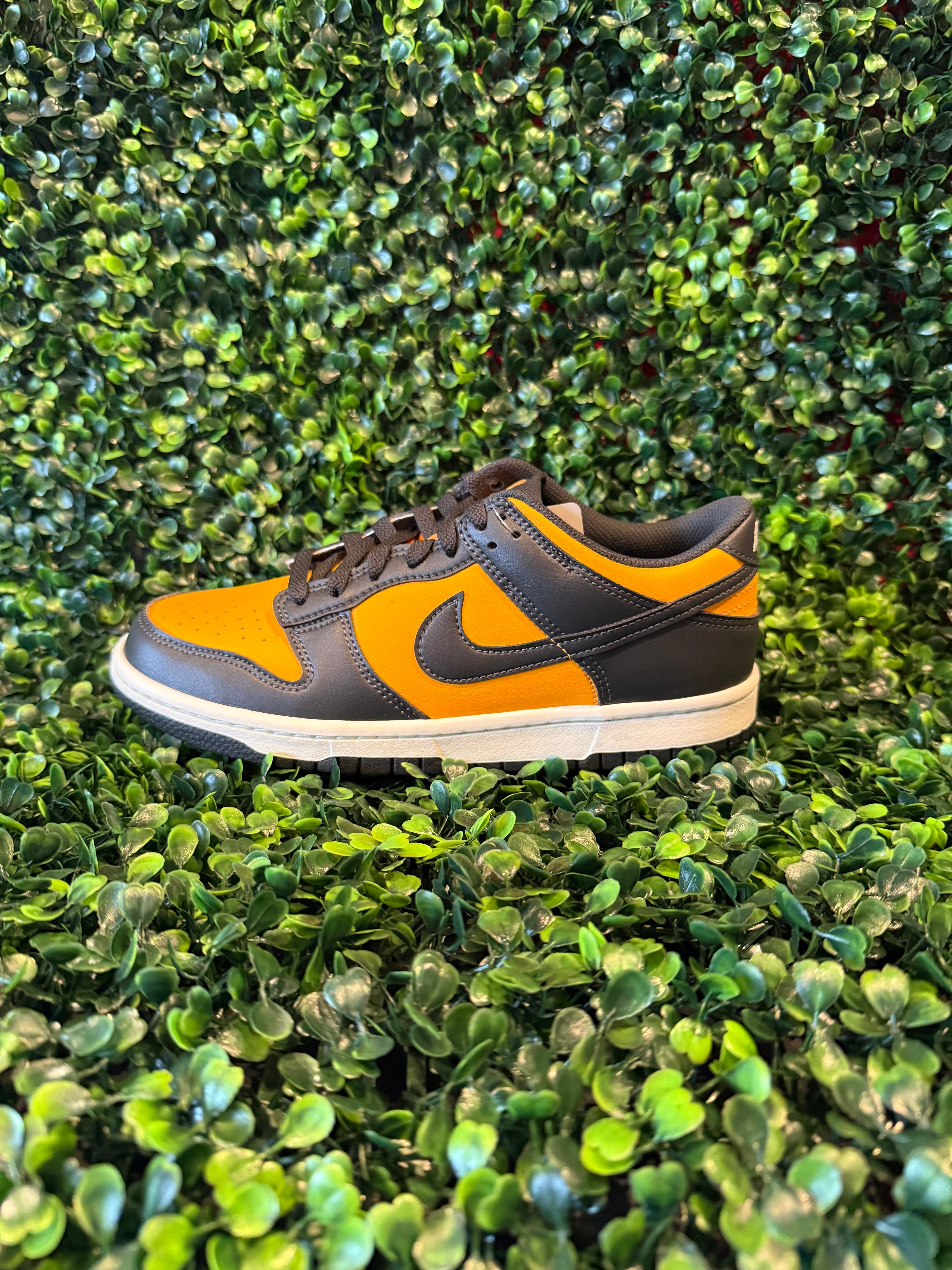 Nike Dunk Low Retro